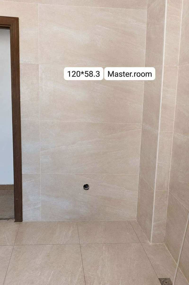 Before bathroom Dubai